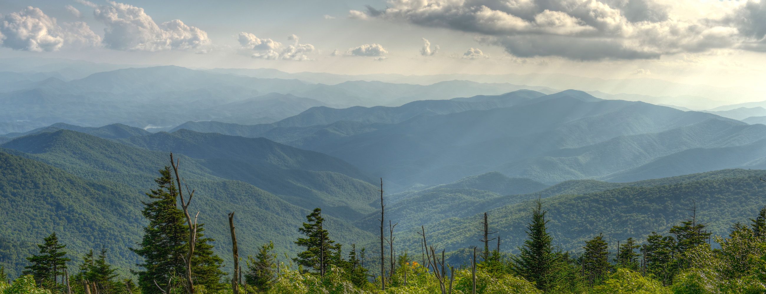 Người Qua Đường